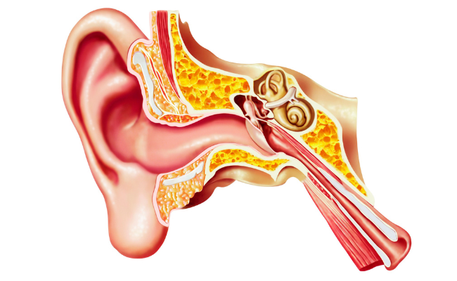 How to Treat Otosclerosis?