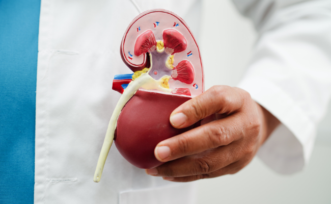 How to Treat Glomerular Disease?