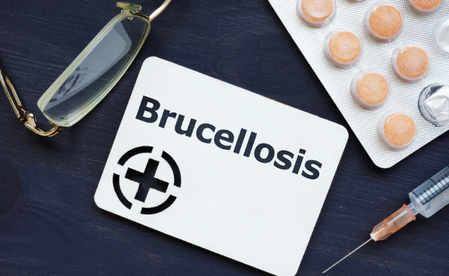 How to Treat Brucellosis?