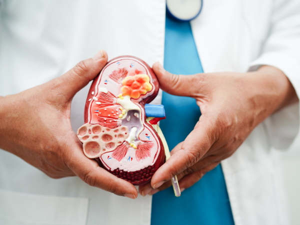 How to Treat Glomerular Disease And Nephritic Syndrome?