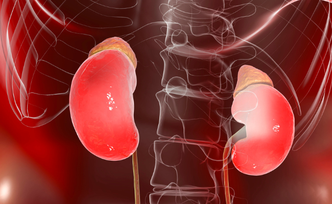 How to Treat Adrenal Insufficiency?