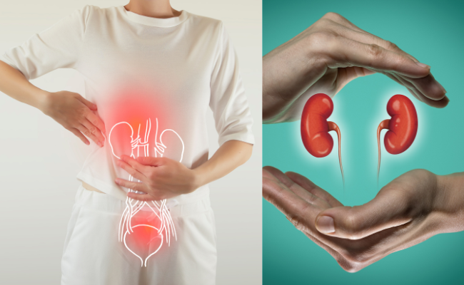 How to Treat Glomerular Disease And Nephrotic Syndrome?