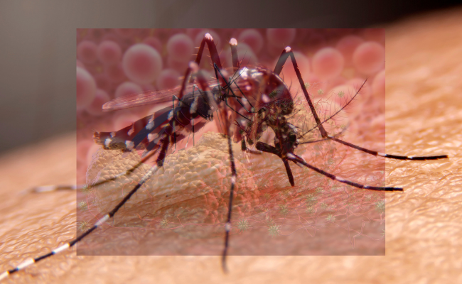 How to Treat Malaria Non Severe?