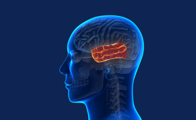 How to Treat Brain Oedema Due To Traumatic Injury?