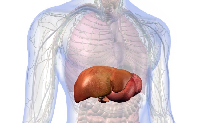 How to Treat Gallbladder Pain?