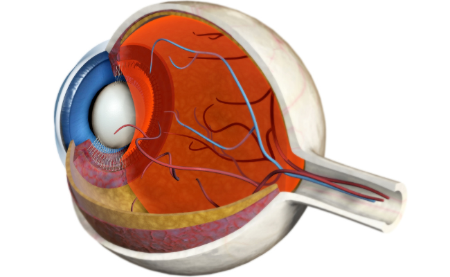 How to Treat Diabetic Retinopathy?