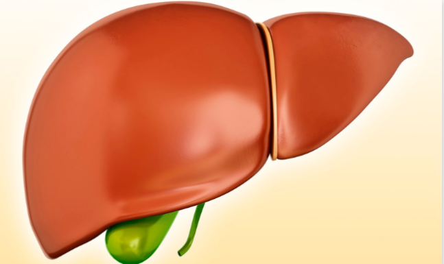 How to Treat Liver Parenchymal Disease?