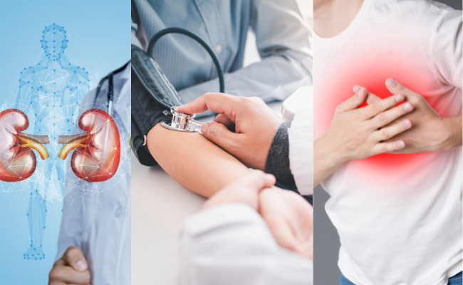 Impact of Hypertension on Heart and Kidneys