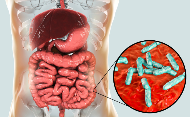 Normal CECT, Intestinal Infection and Probiotics