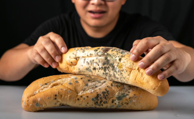 Why Should I Worry About Eating Moldy Bread?