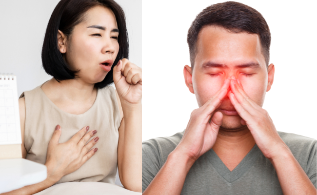 What Remedies for Sinus Infection and Bronchitis?
