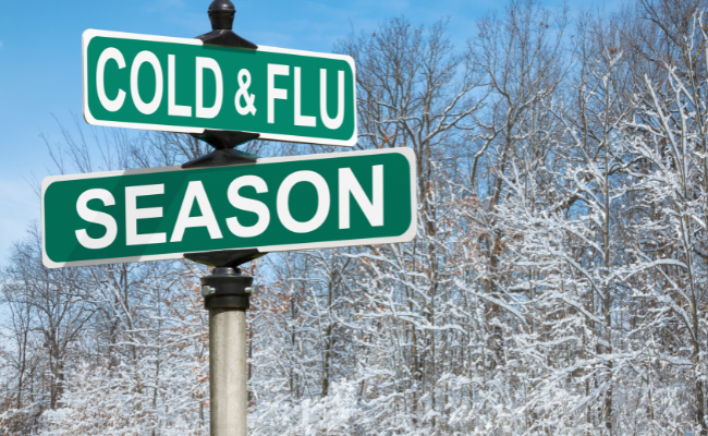 Global Flu Season Variability: Factors and Implications