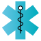 Medical Leadership